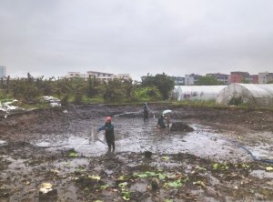 宁德河道鱼塘清淤